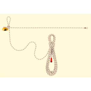 Linha de vida horizontal Petzl Grillon, com 20 metros.